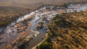 Aerial view of Ruaha National Park with the Great Ruaha River and baobab-dotted wilderness